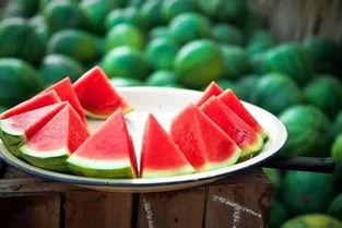 娱乐吃瓜酱江苏,江苏娱乐圈的那些事儿