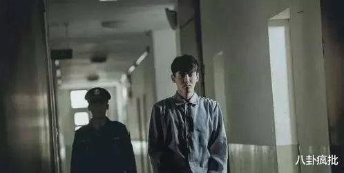 娱乐吃瓜007,娱乐吃瓜界的风云人物