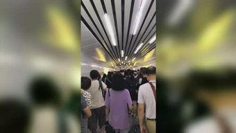 东方依依个人资料