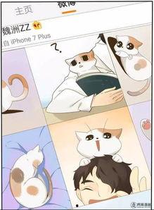 明星卡通ip,明星卡通形象魅力解析